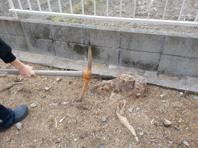 20131228_102123.jpg