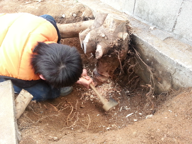 20131228_153932.jpg