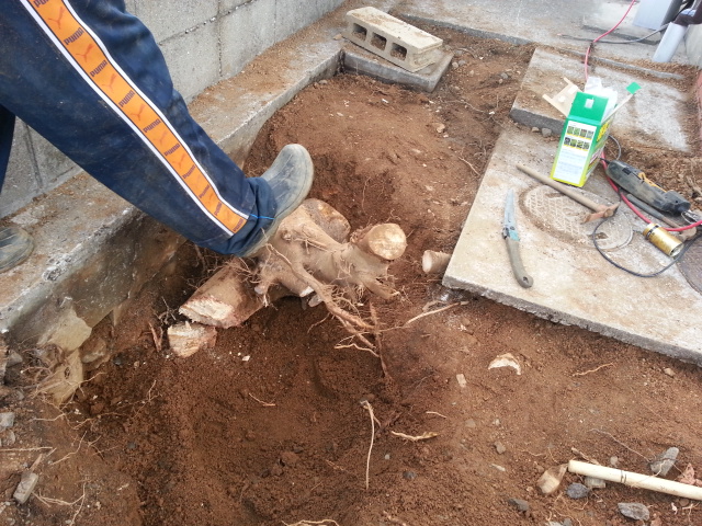 20131228_155316.jpg