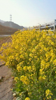 201002231612000.jpg