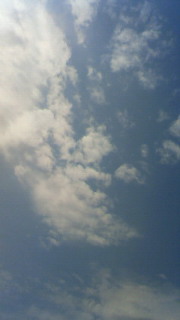 201004110950000.jpg