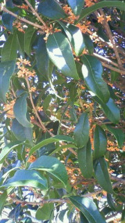 201010071013000.jpg