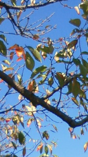 201011060930000.jpg