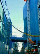 201103170739000.jpg