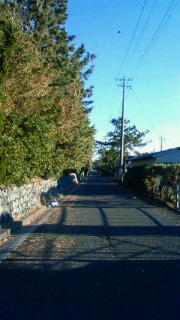 image.jpg
