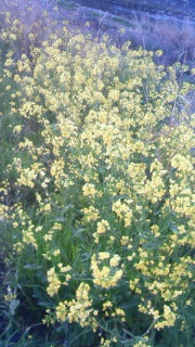 201203160726000.jpg
