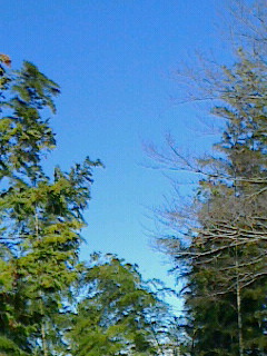2014011011110000.jpg