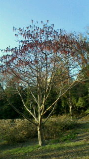 2014021808270000.jpg