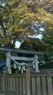 2014111909010000.jpg