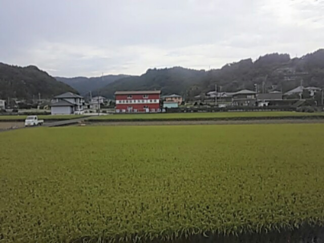 20170920_093914.jpg