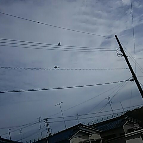 20171120_160725.jpg