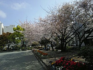 20190408_2842399.jpg