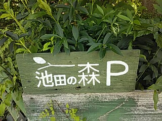 20190524_2868857.jpg