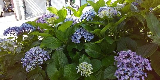20190613_2880499.jpg