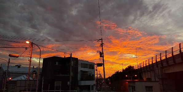 IMG_20190806_044955.jpg