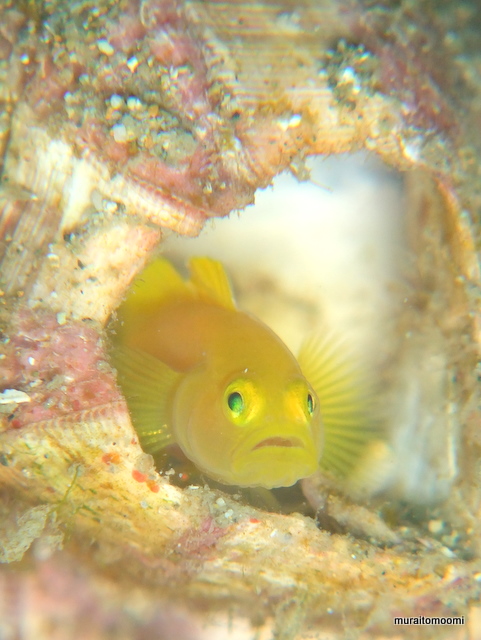 DSCF8774.JPG