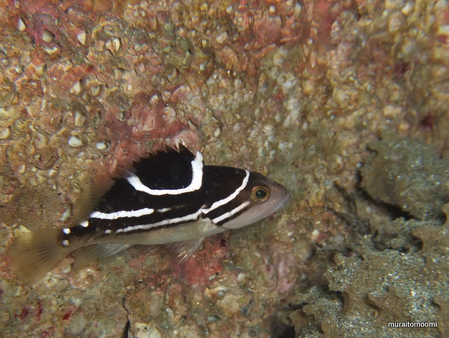 DSCF8795.JPG