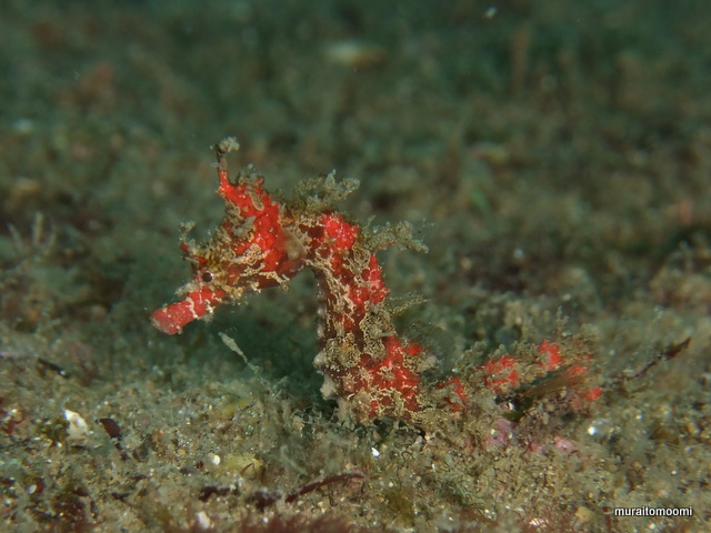 DSCF8806.JPG