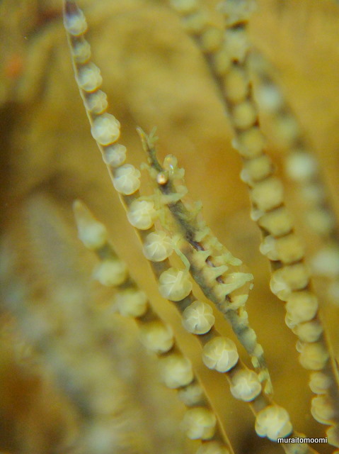 DSCF6514.JPG