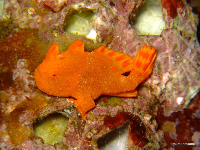 DSCF6521.JPG
