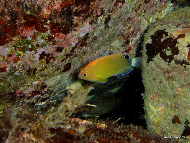 DSCF6528.JPG