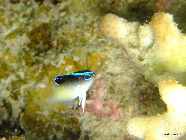 DSCF8110.JPG