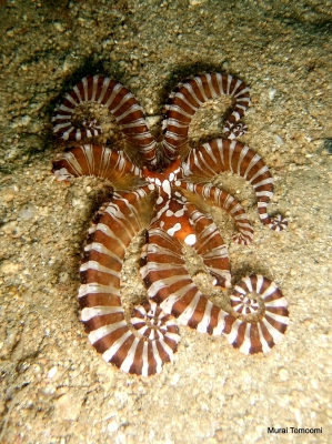 DSCF6638.JPG