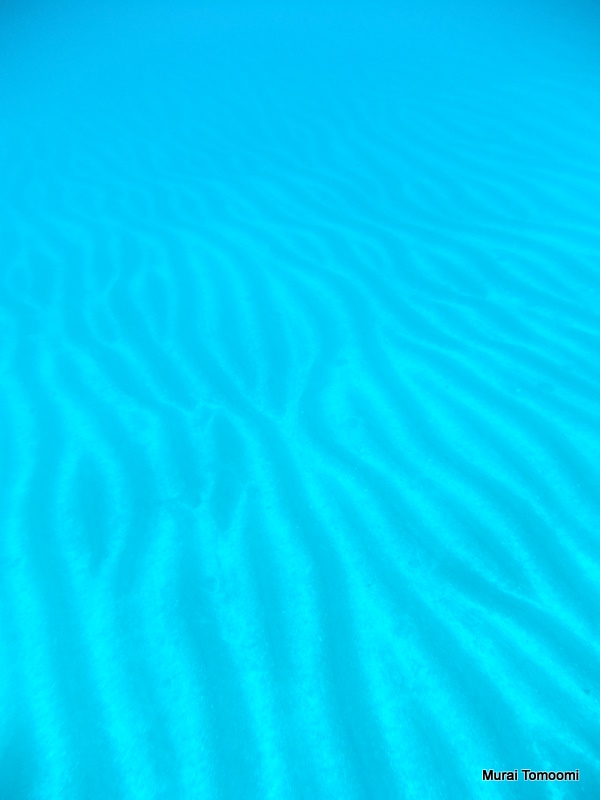 128.JPG