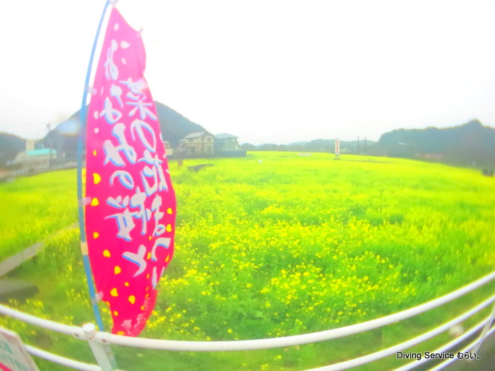 064.JPG