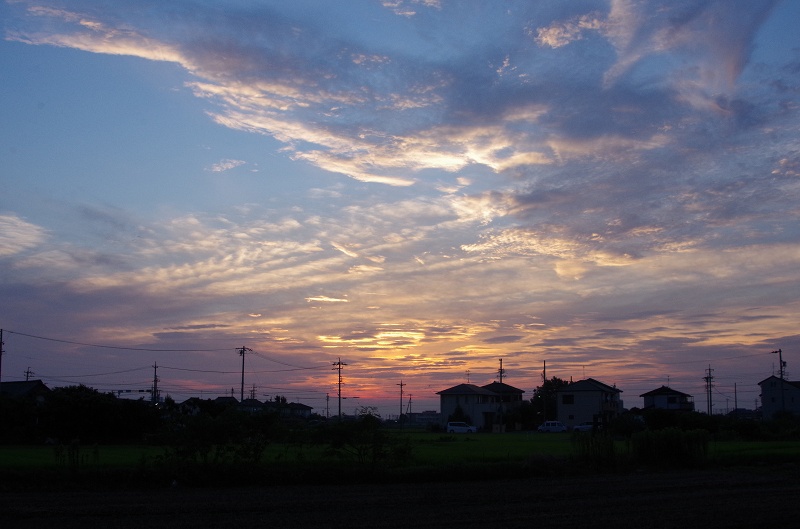 夏の朝の空 日々の間に間に