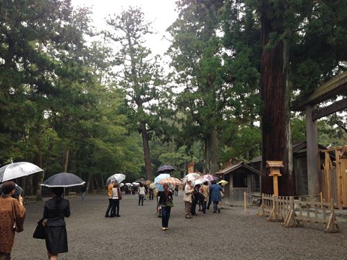 2013-10-29 09.43.56_R.jpg