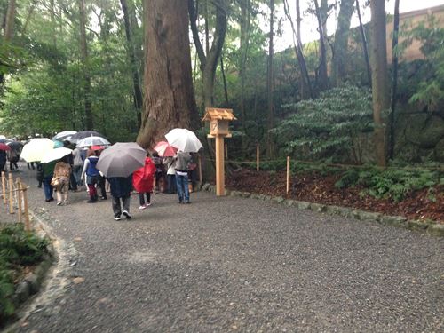 2013-10-29 13.21.28_R.jpg