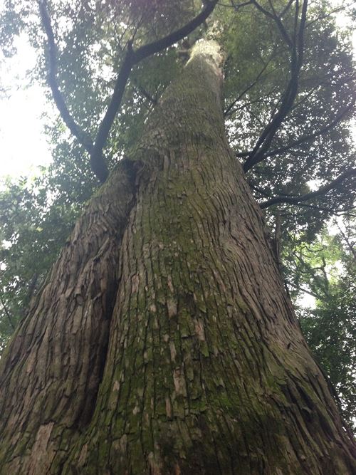 2013-10-29 13.27.11_R.jpg