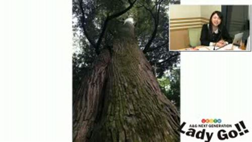 2013-10-29 13.28.15_R.jpg