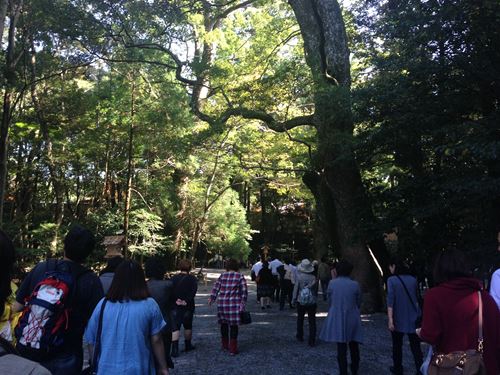 2013-10-30 12.39.44_R.jpg