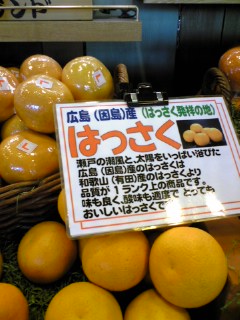 20070321_292774.jpg