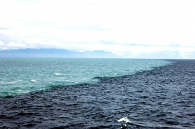 寒流と暖流は混ざらないまま地球を維持している