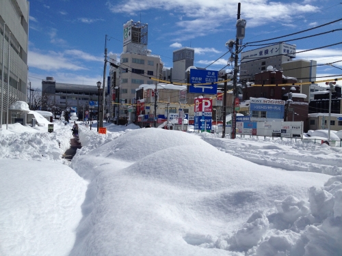 甲府市】観測史上最大積雪、114センチ - 20140215_967095.jpg