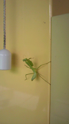 2011081511500000.jpg