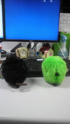 2012020122070000.jpg