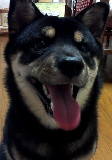 じろ