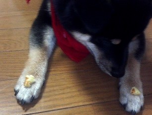 食べたいなぁ