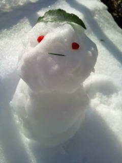 20110101114157.jpg