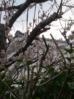 20110325153251.jpg