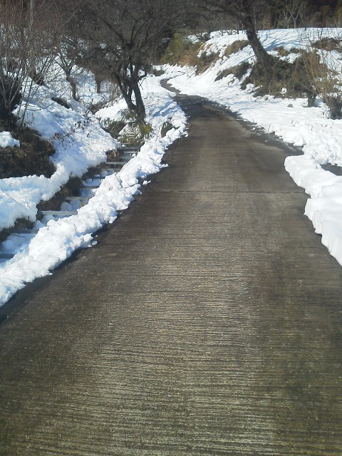 20140218124831.jpg