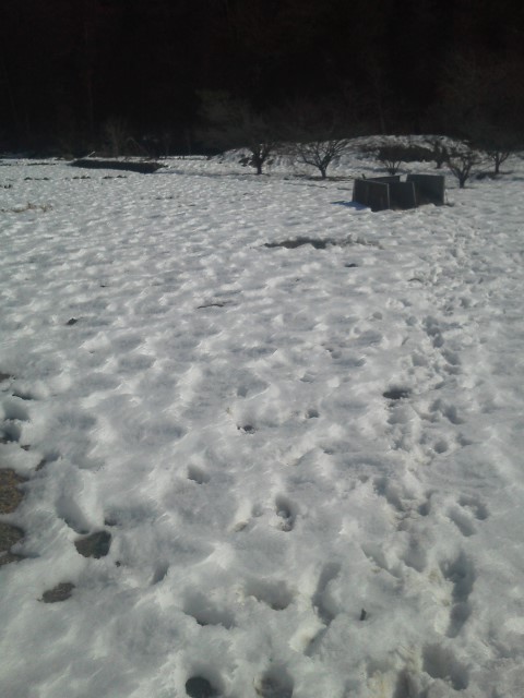 20140221110127.jpg