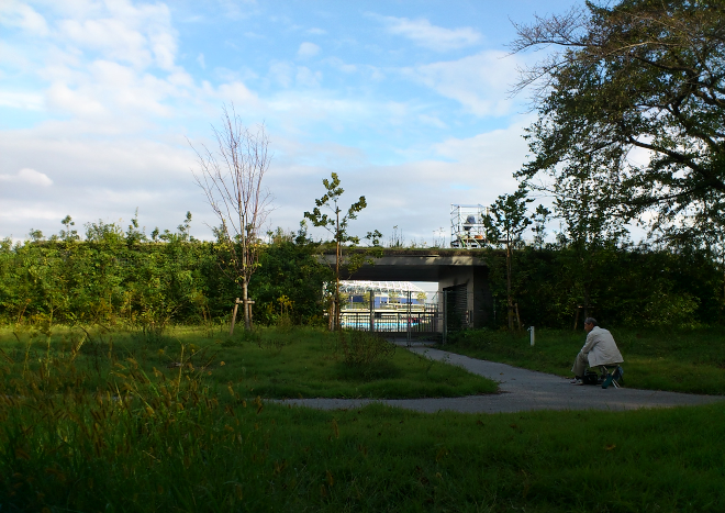 DSC_0047-1a.jpg