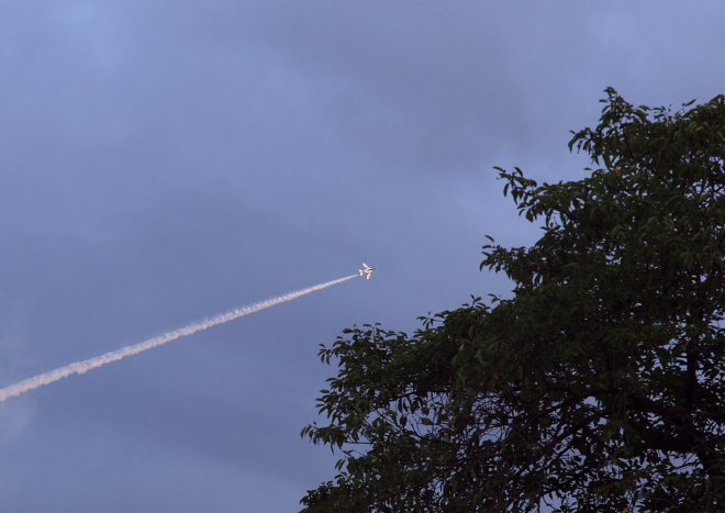 P9283212-2a.jpg
