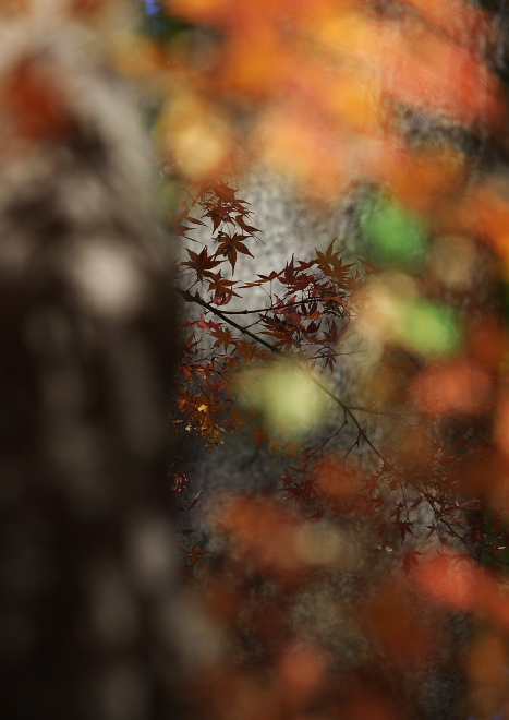 PB236081a.jpg