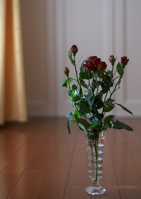 DSC01822-1a.jpg